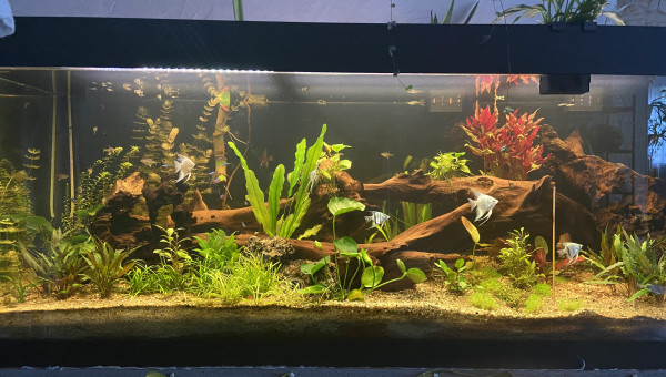 Tout le monde est arrivé