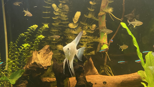 Tout le monde est arrivé