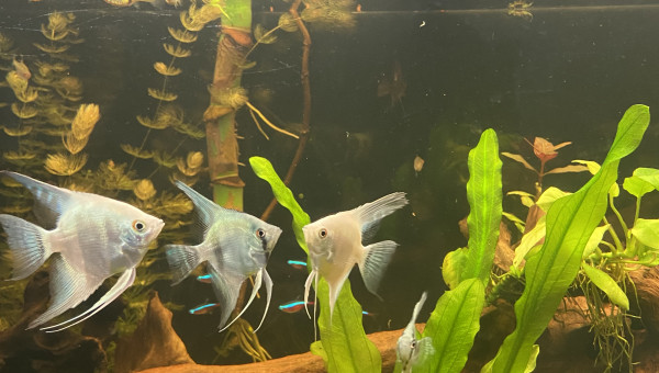 Tout le monde est arrivé