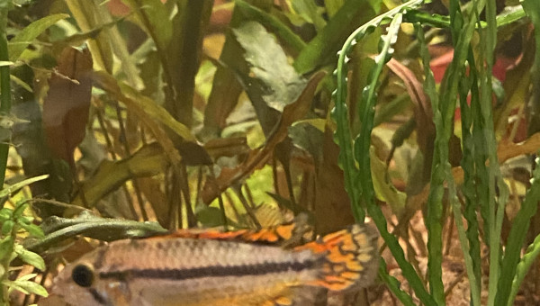 Tout le monde est arrivé