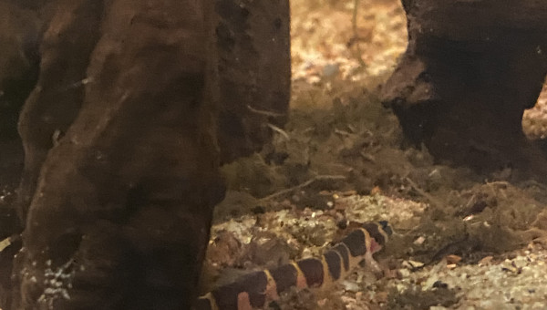 Tout le monde est arrivé