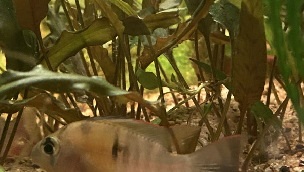 Tout le monde est arrivé