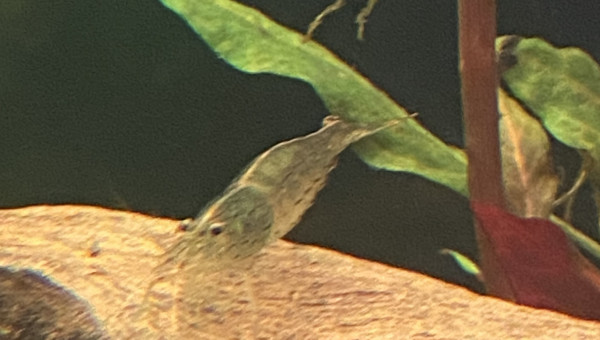 Tout le monde est arrivé