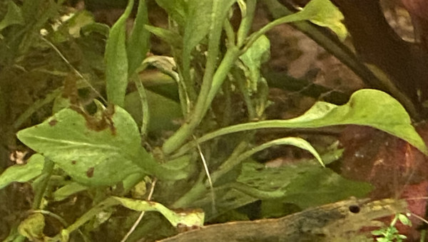 Tout le monde est arrivé