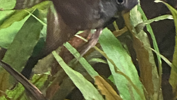 Tout le monde est arrivé