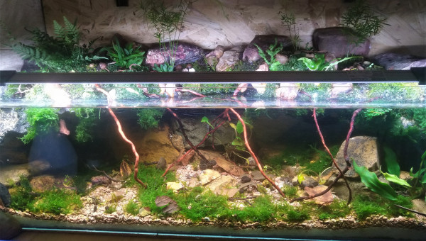 Petit coin de bureau