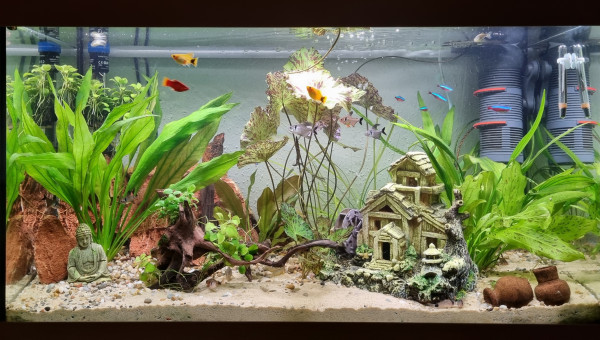 LE CANYON  OCCITAN septembre 2024