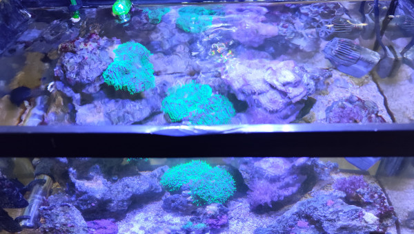 Vue du dessus 23 septembre 2024