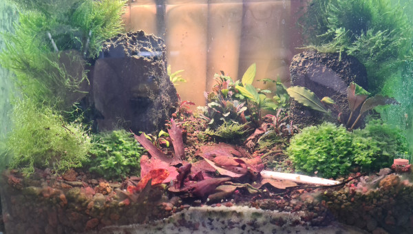 Lithion - the Bucce Valley