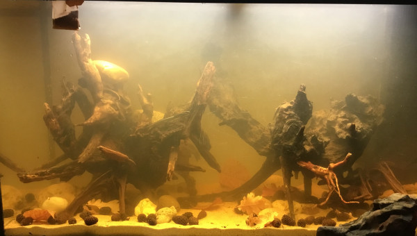 Installation des tanins