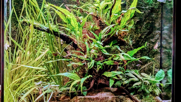 Situation au 27 octobre 2022