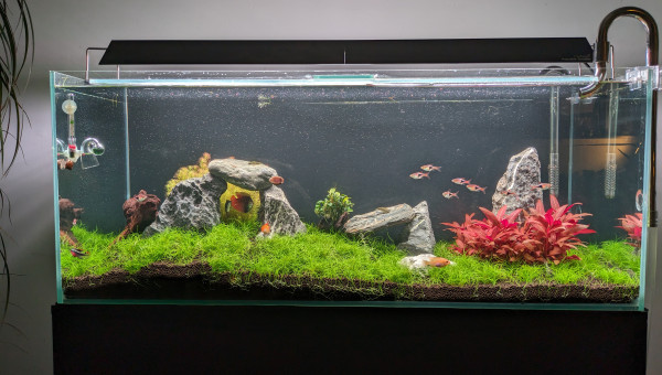 Entretien et lumière