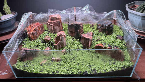 J’attends encore pour la mise à l’eau…