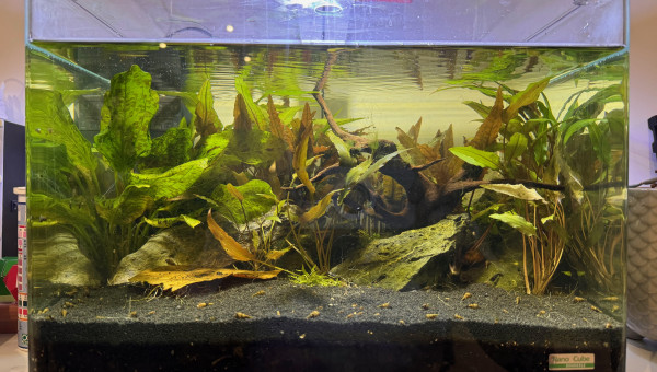 On s'y remets depuis quelques semaines