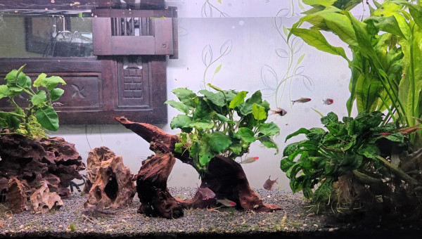 Communautaire de 140L