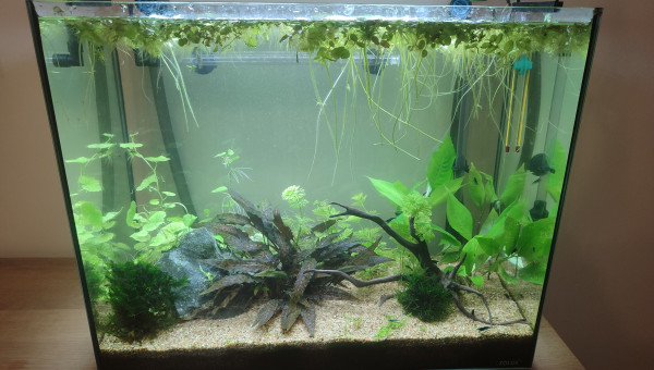 Supression du gros filtre interne