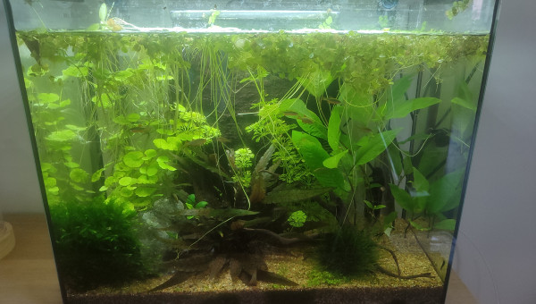 Supression du gros filtre interne