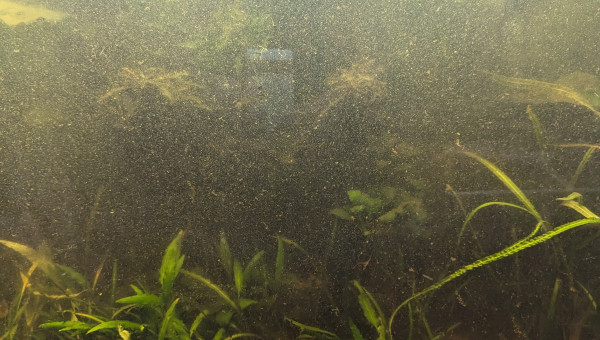 Remise en forme, phase 1