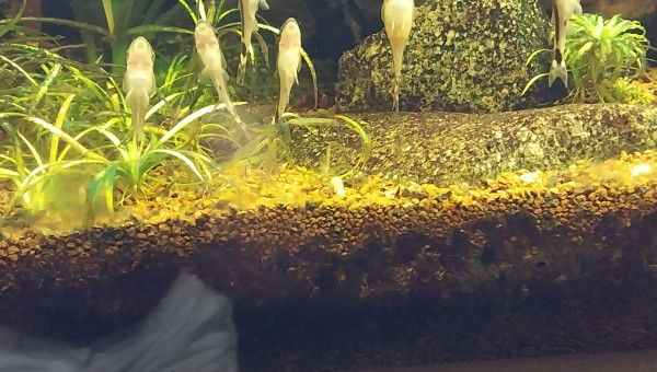 Journée nettoyage !!!