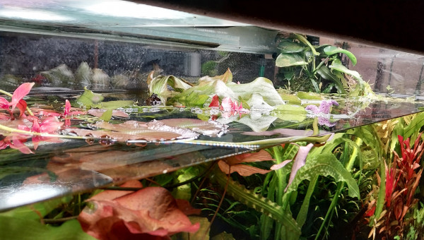 Journée nettoyage !!!