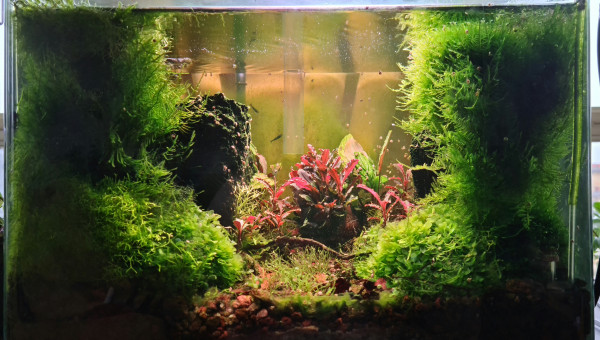 Valley of Bucce - janvier 2025