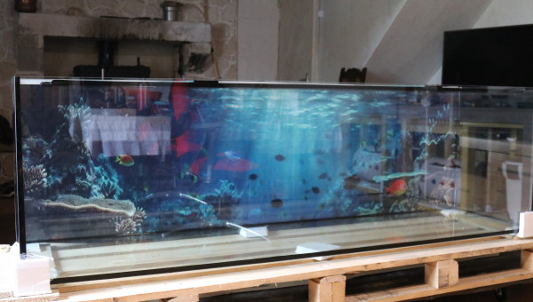 Livraison aquarion nu