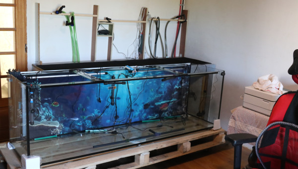 Avant mise sur meuble