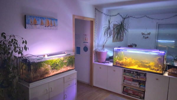 Passage du 120 au 240....