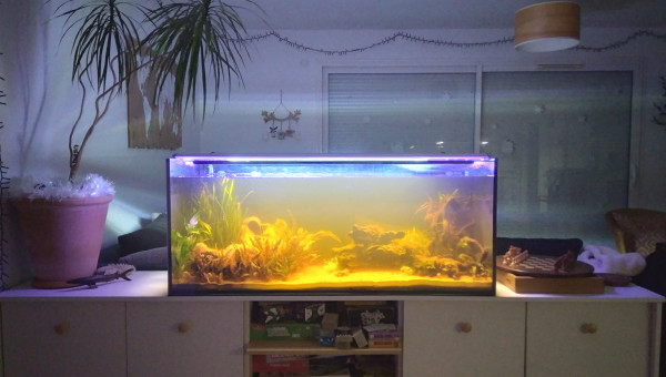 Début du projet janvier 2025