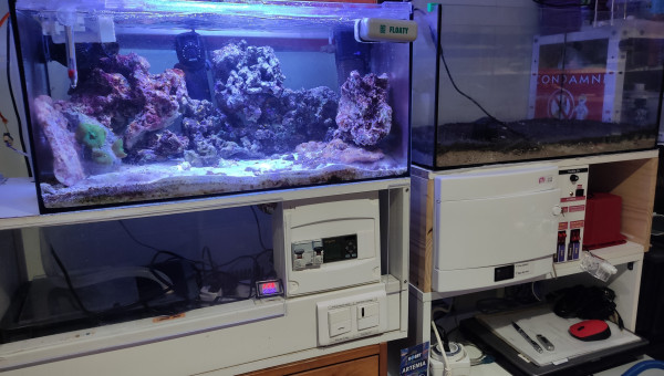 Pièce dans ma cave chauffée avec mon aquarium récifal