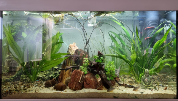 LE CANYON  OCCITAN en janvier 2025