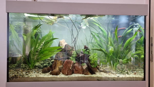 LE CANYON  OCCITAN en janvier 2025