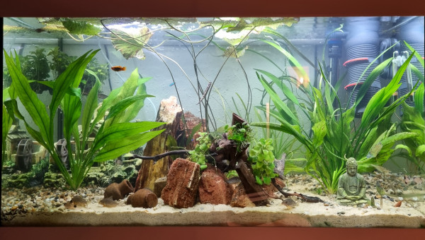 LE CANYON  OCCITAN en janvier 2025