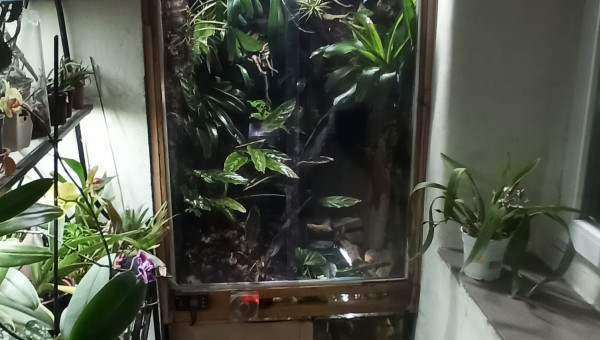 Grand paludarium