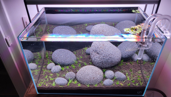 Le bac est planté !