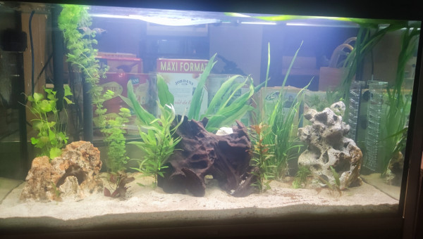 Fluval 450