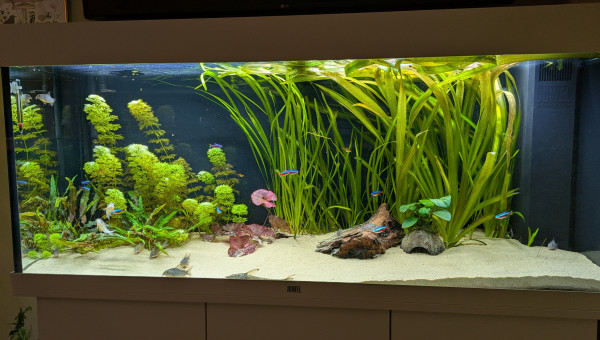 Vue d'ensemble, 240 litres, salon