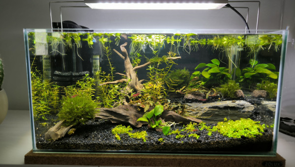 Changement rampe led