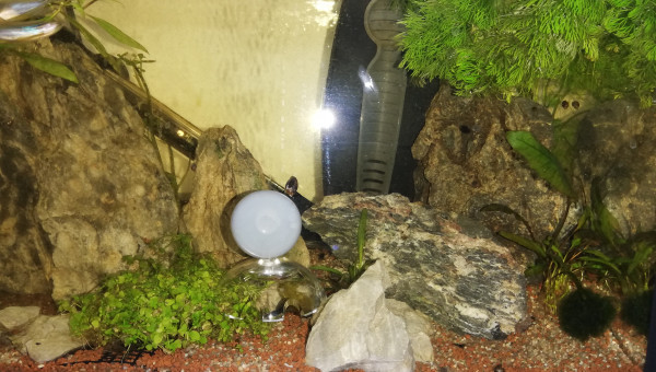 Changement de décor.