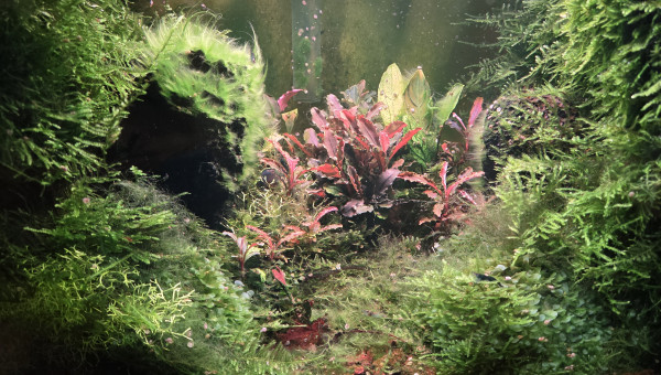 Valley of Bucce - février 2025