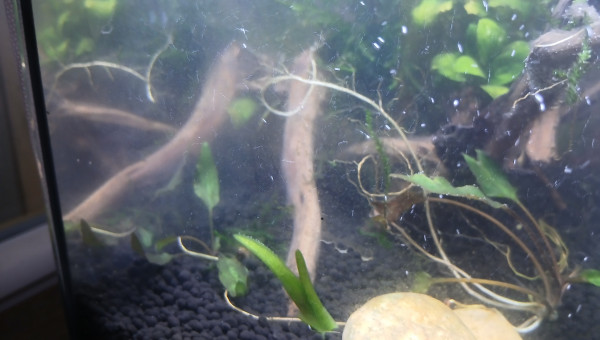 Ajout de roches non calcaire