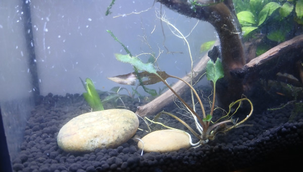 Ajout de roches non calcaire