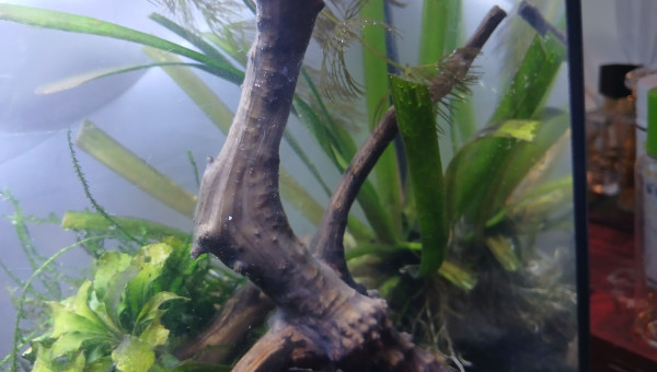 Ajout de roches non calcaire