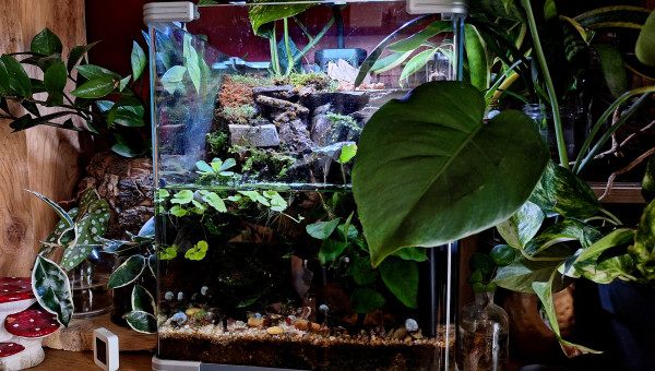 Petites modifications avant changement de filtre