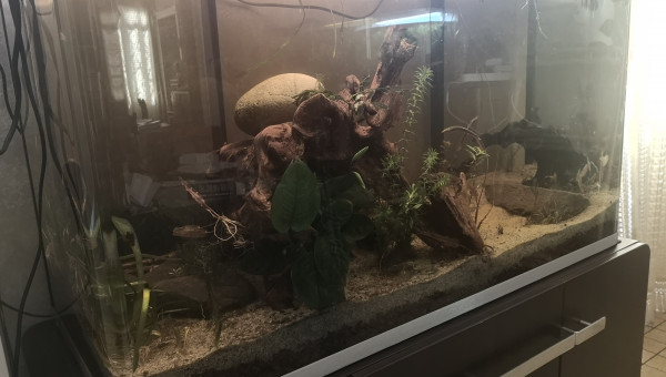 Les débuts d'Osaka Patchwork