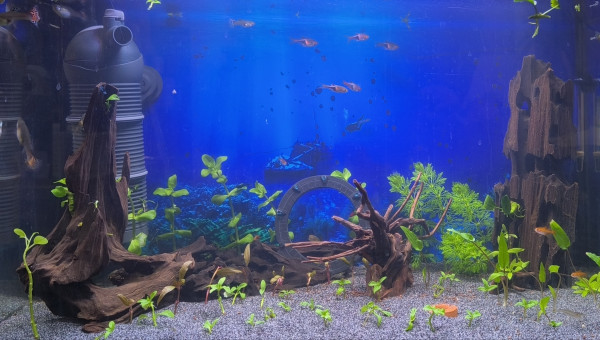 1ere photo: Presque terminé !