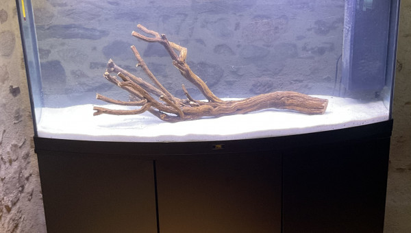 Mise en eau,  en attente des plantes et des poissons