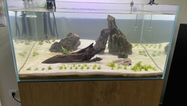 Aquael UltraScape 90