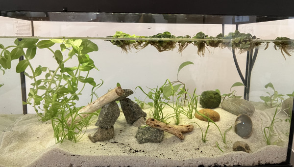 Mise à l’eau le 3 mai 2025.