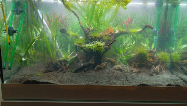 New aqua relooké suite à un déménagement